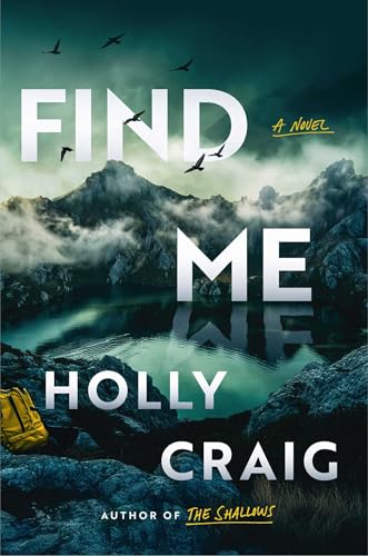 Find Me: A Novel (Hardcover)