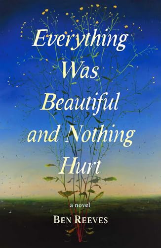 Everything Was Beautiful and Nothing Hurt: A Novel (Hardcover)