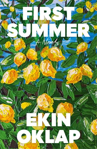 First Summer: A Novel (Hardcover)