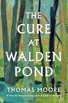 The Cure at Walde...