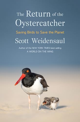 Cover of The Return of the Oystercatcher: Saving Birds to Save the Planet