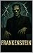 Frankestein: The Modern Prometheus