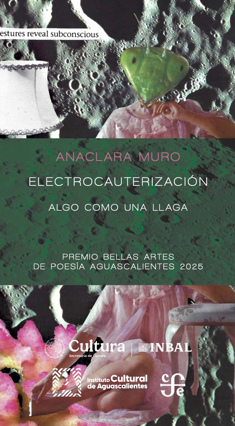 Electrocauterización Algo como una llaga