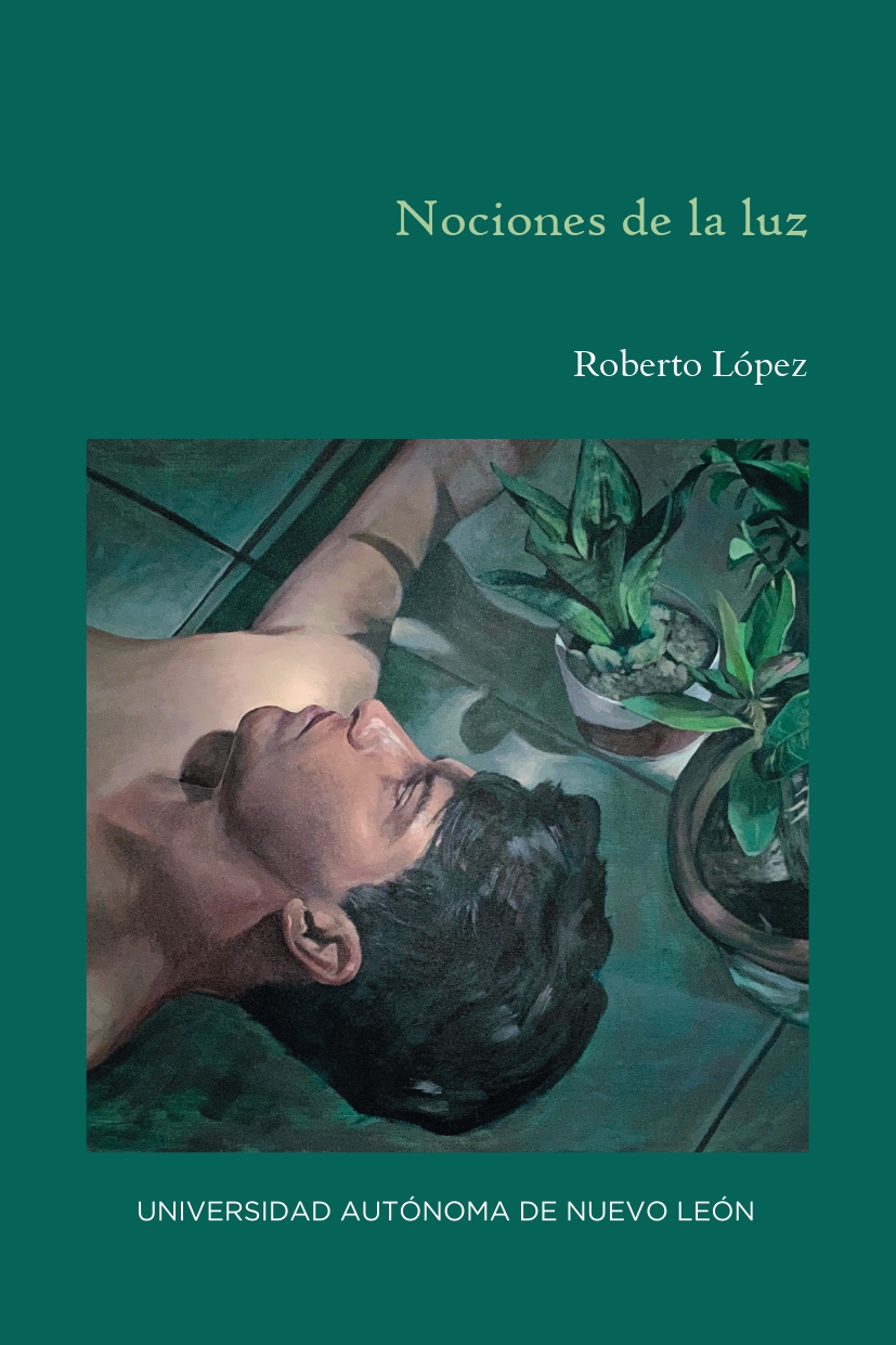 Nociones de la luz