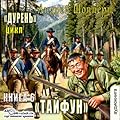 Дурень. Книга шестая. Тайфун