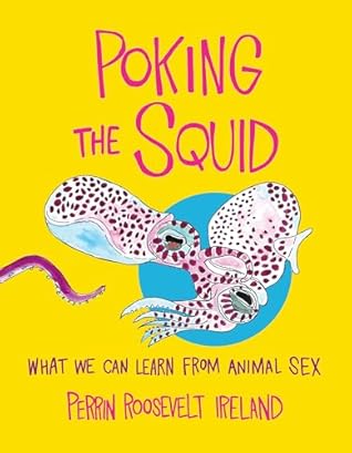 Poking the Squid: What We Can Learn from Animal Sex