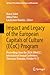 Impact and Legacy of the European Capitals of Culture (ECoC) Program: Proceedings from the 2024 (UNeECC) International Annual Conference, Timisoara, ... Proceedings in Business and Economics)