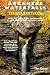 Arkansas Waterfalls: How to...