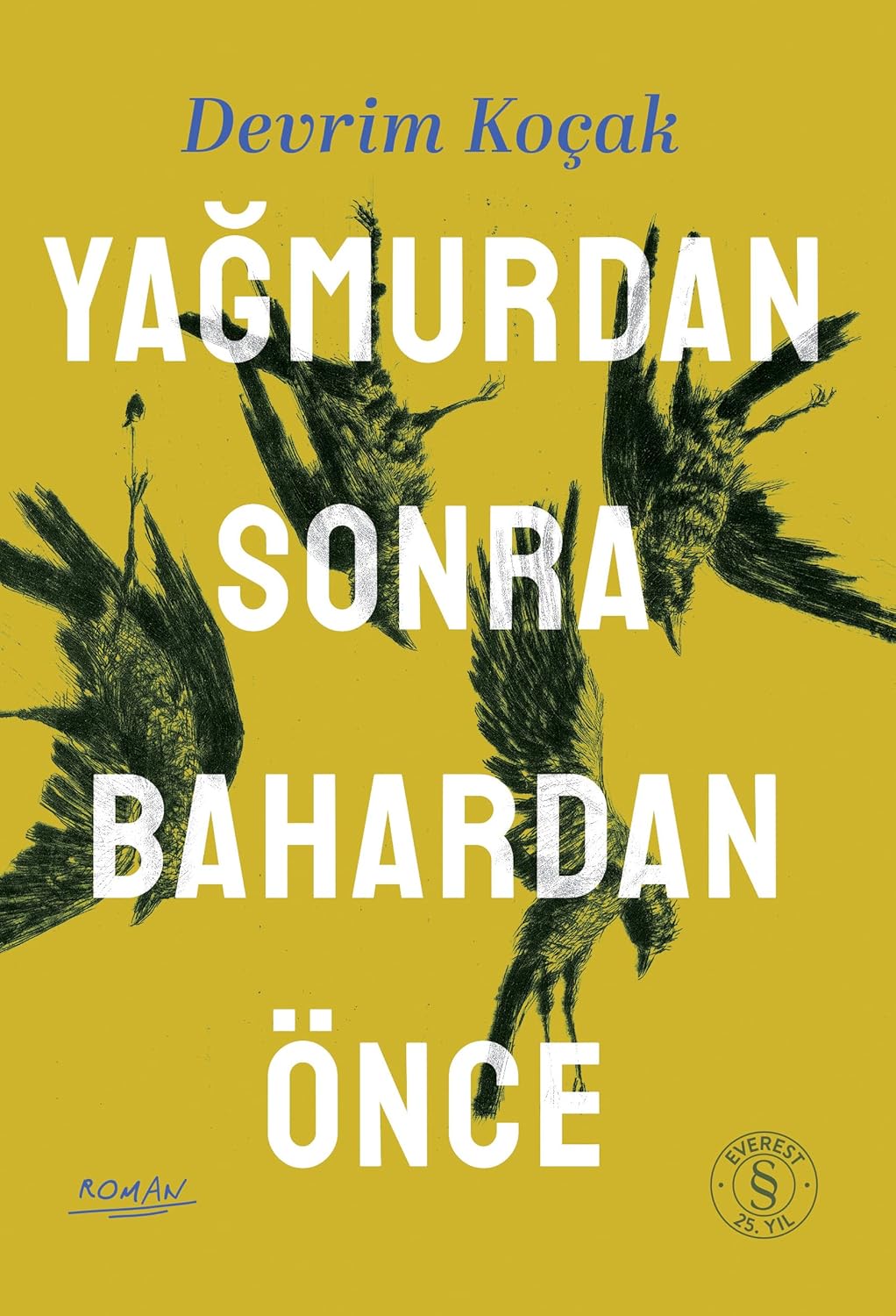 Yağmurdan Sonra Bahardan Önce (Paperback)