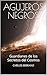 AGUJEROS NEGROS: Guardianes...