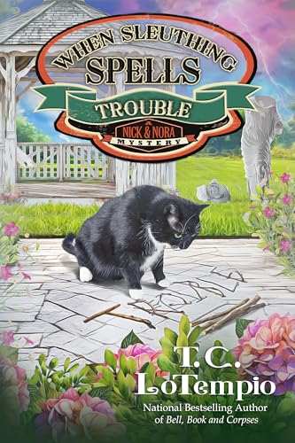 When Sleuthing Spells Trouble (Kindle Edition)
