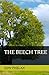 The Beech Tree