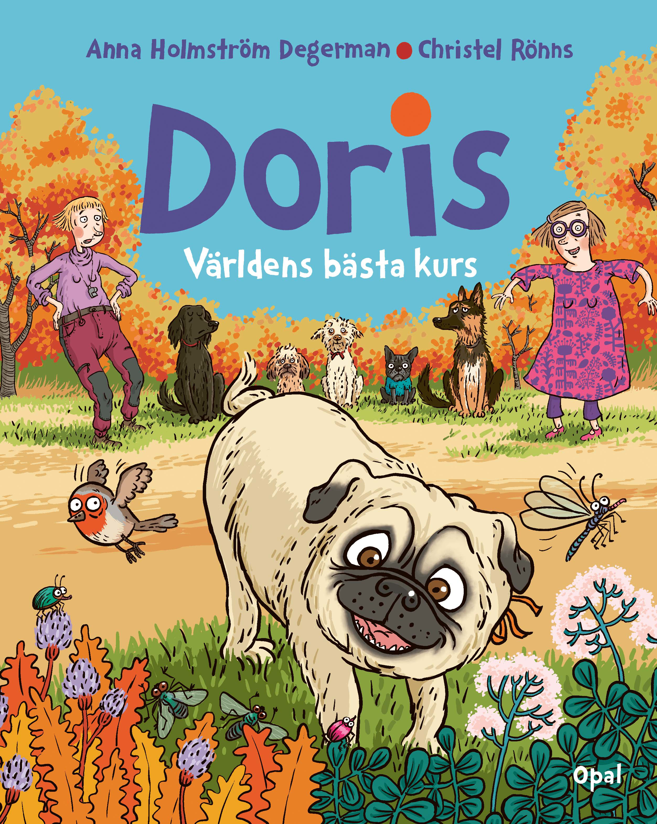 Doris - världens bästa kurs (Paperback)