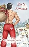 Book cover for Santa Promised: A Christmas Novella