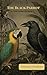 The Black Parrot by Francisco Orvañanos