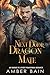 Next Door Dragon Mate : An ...