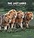 Last Lions