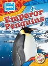 Emperor Penguins