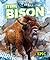 Steppe Bison