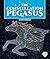 The Constellation Pegasus