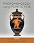 Phenomenology and the Painted Vase (The Warren Moon Series in Art and Archaeology)