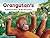 Orangutan's Rainforest Adve...