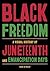 Black Freedom: A Visual History of Juneteenth and Emancipation Days