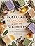 Natural Soap Making Book for Beginners 2026 by salis vane