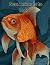 Sea Animals to Color by Pacheco