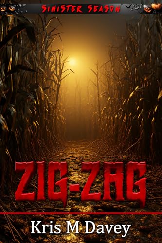 Zig-Zag (Kindle Edition)