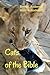 Bible Cats