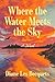 Where the Water Meets the Sky by Diane  Les Becquets