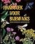 Handboek voor bijenfans by Gerard Sonnemans