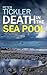 Death in the Sea Pool: a compelling search for a killer on the Cornish Coast