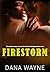 Firestorm