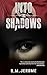 INTO THE SHADOWS by R.M. Jerome