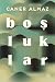 Boşluklar