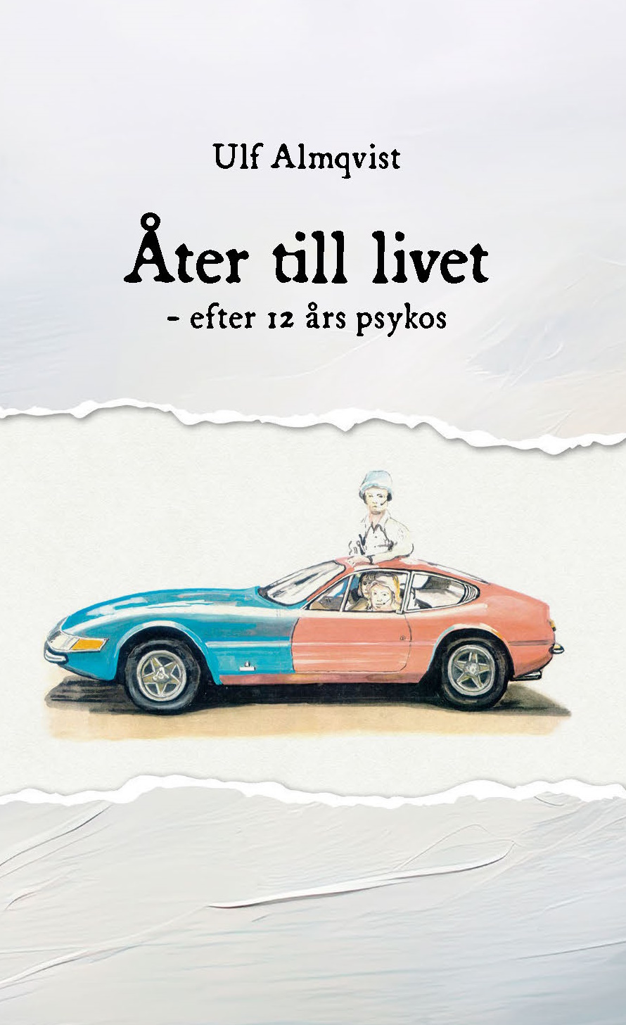 Åter till livet: efter 12 års psykos (Hardcover)