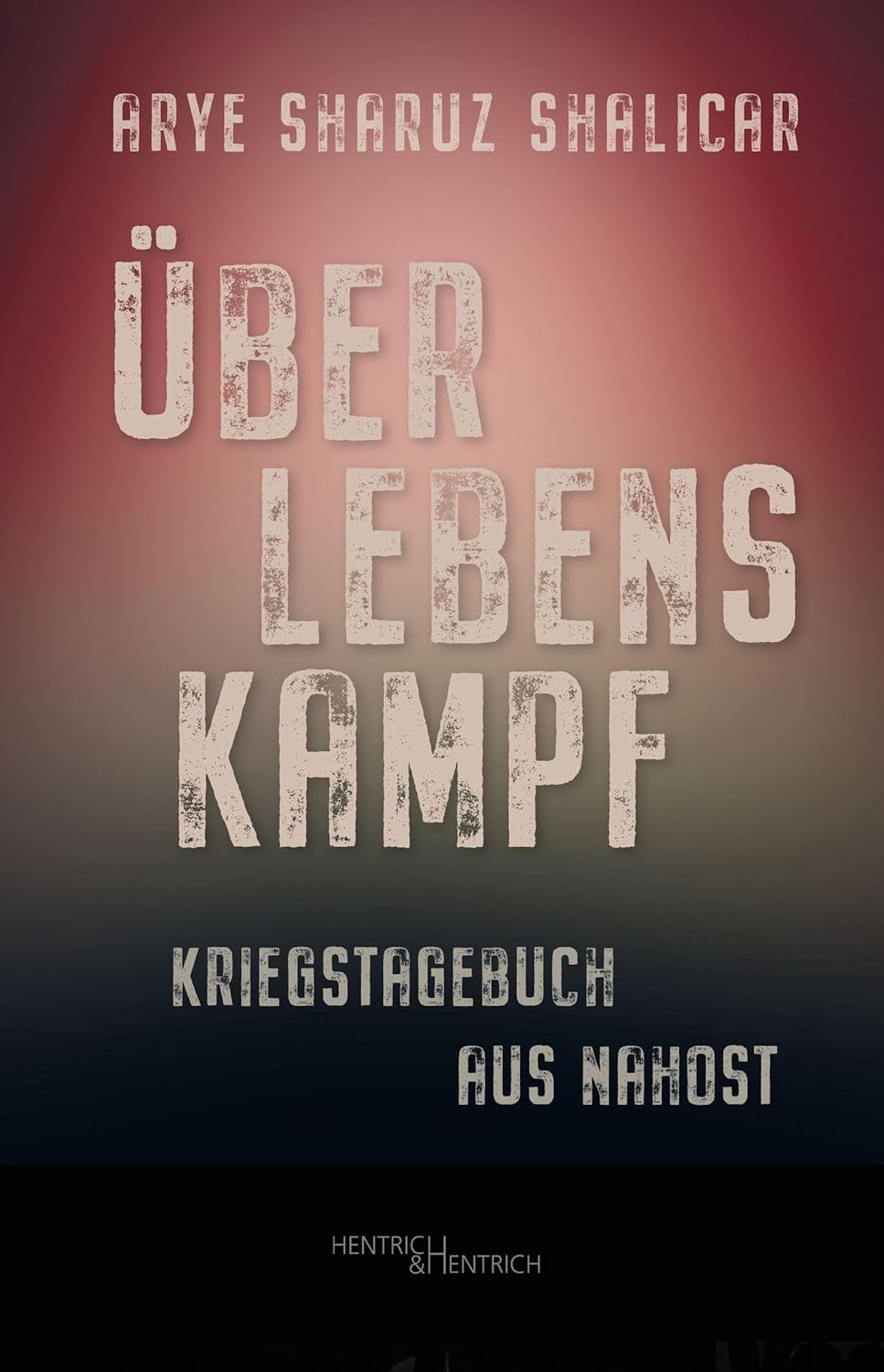 Überlebenskampf: Kriegstagebuch aus Nahost (Paperback)