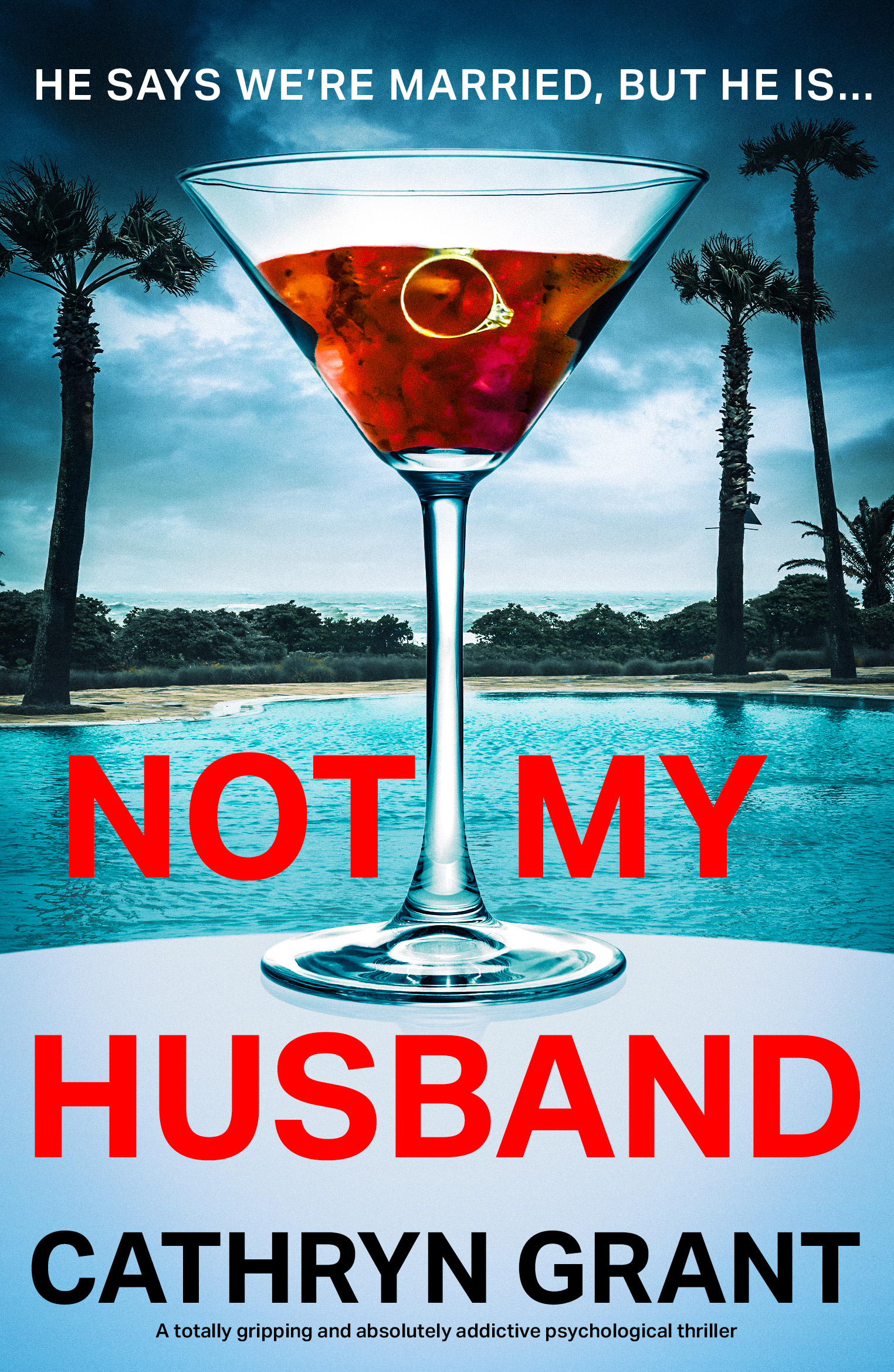 Not My Husband (Kindle Edition)