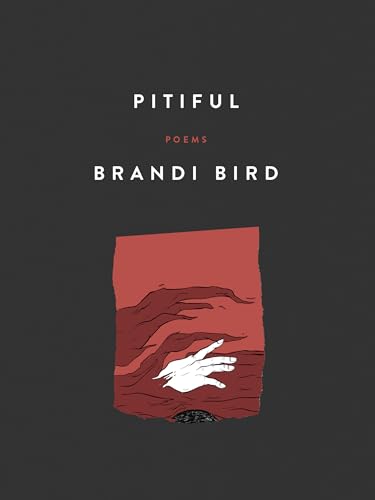Pitiful: Poems (Paperback)