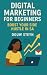 Digital Marketing for Beginners by Douw Steyn