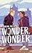 Wonder, Wonder (Ashland Book 2)