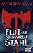 Flut aus schwarzem Stahl (Zeit des Zorns, #1)