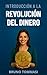 Introducción a la revolució...