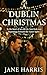 A DUBLIN CHRISTMAS by Jane Harris