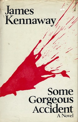 Some Gorgeous Accident (Hardcover)