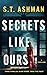 Secrets Like Ours : A Domestic Thriller