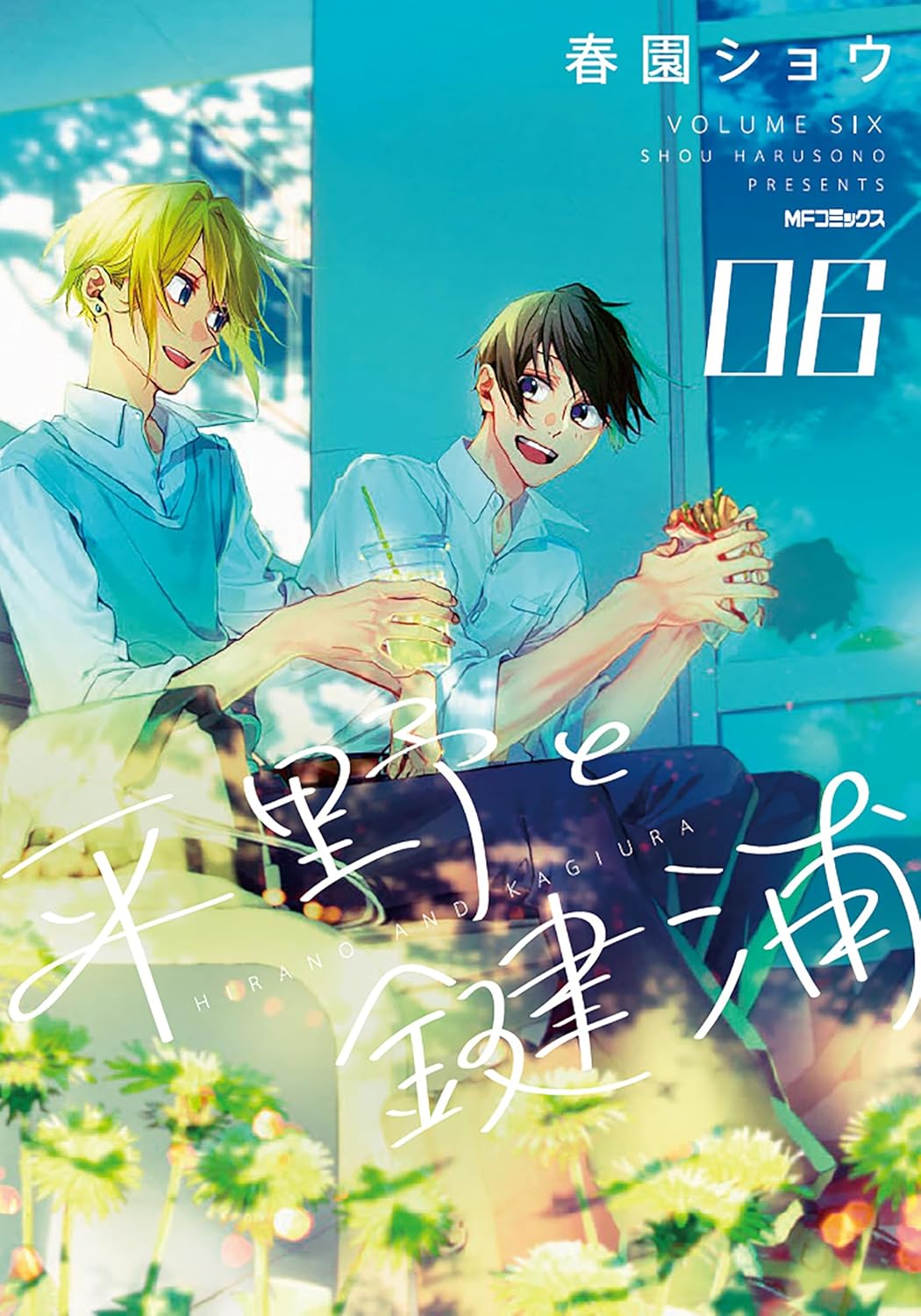 平野と鍵浦 6 (Hirano to Kagiura, #6)