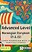 Advanced Level Norwegian Storybook (C1 & C2) by Halla S.